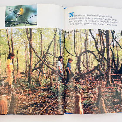 Let's Explore a River (National Geographic Books for Young Explorers)