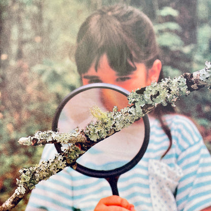 Let's Explore a River (National Geographic Books for Young Explorers)