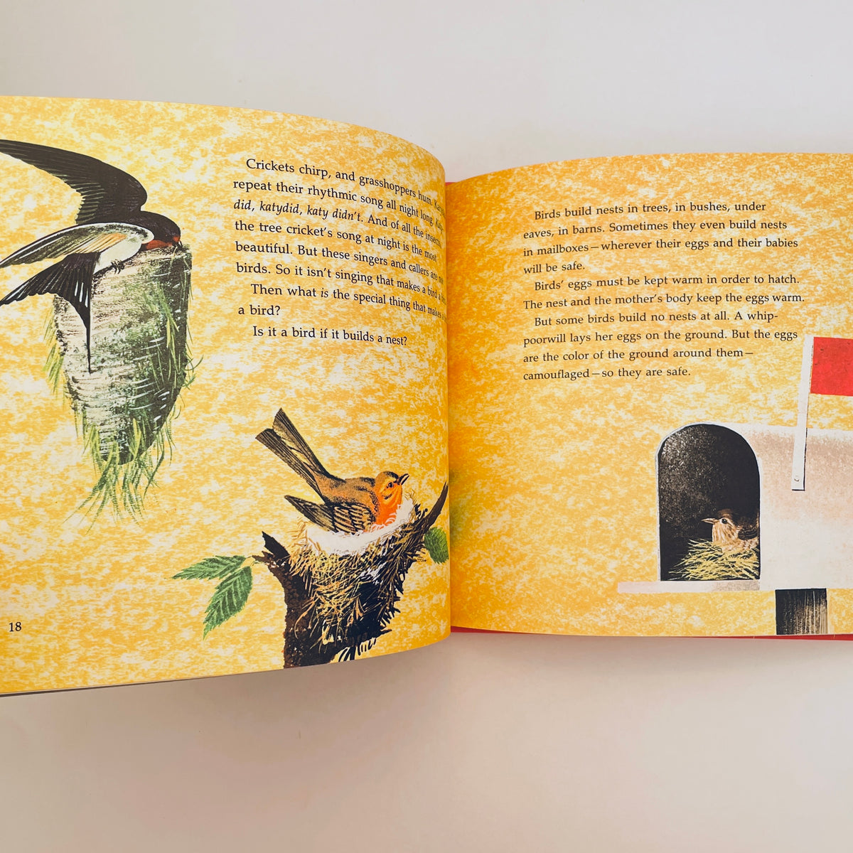 What Makes a Bird a Bird?