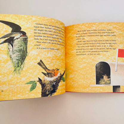 What Makes a Bird a Bird?