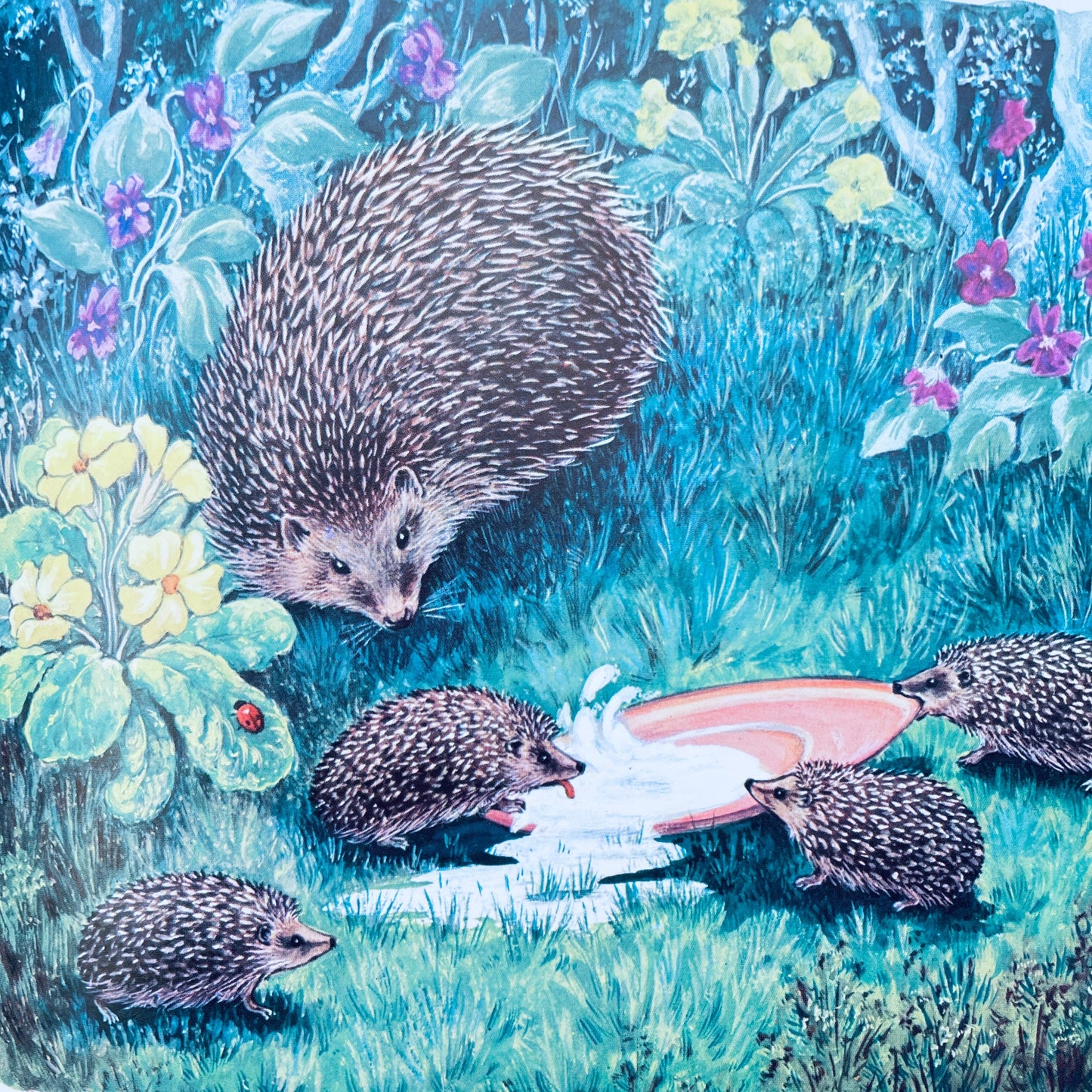 Let's Meet Some Baby Animals