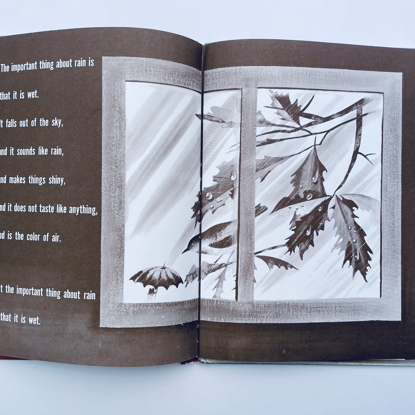 The Important Book