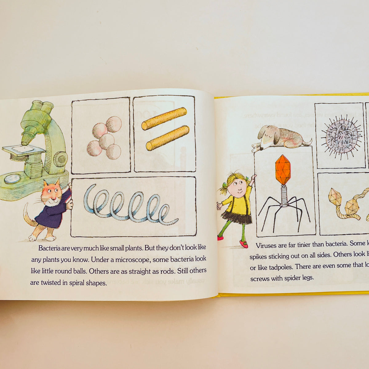 Germs Make Me Sick! (Let’s-Read-and-Find-Out Science Book)