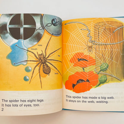 Spiders (Wonder Starters)