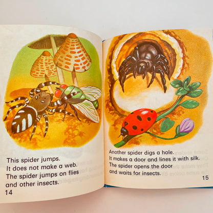 Spiders (Wonder Starters)
