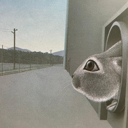 Rabbit Island