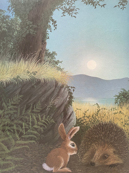 Rabbit Island