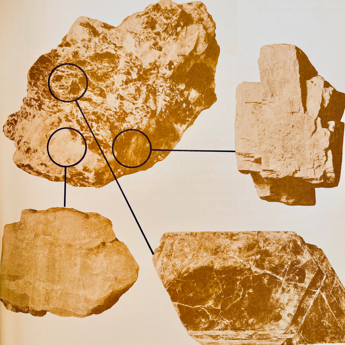 Discovering Rocks and Minerals: A Nature and Science Guide to their Collection and Identification