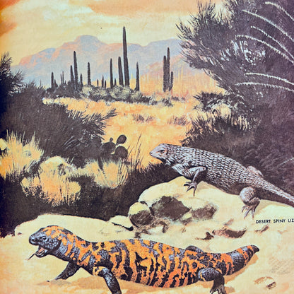 The How and Why Wonder Book of Reptiles and Amphibians