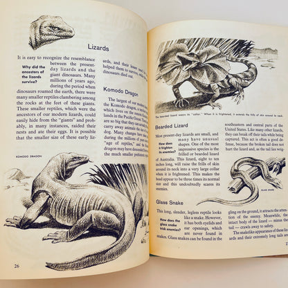 The How and Why Wonder Book of Reptiles and Amphibians