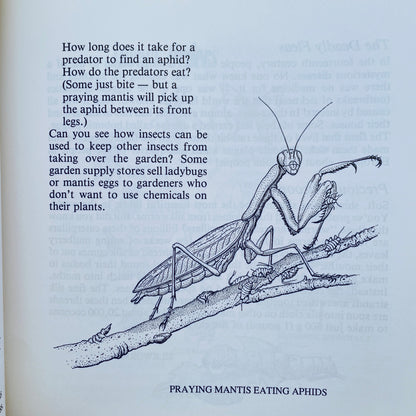 Looking at Insects: A Book of Things to See and Do