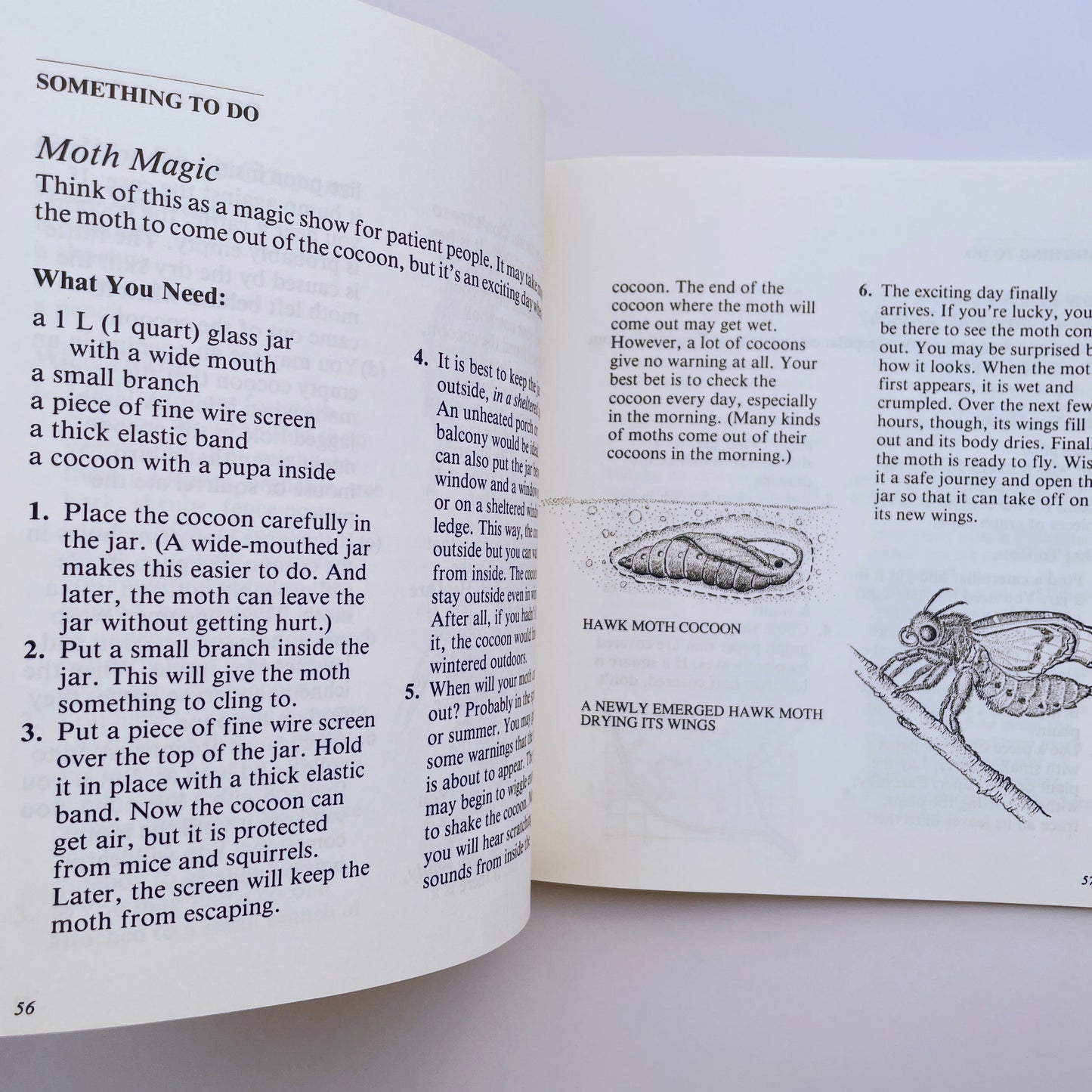 Looking at Insects: A Book of Things to See and Do