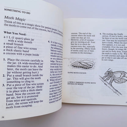 Looking at Insects: A Book of Things to See and Do