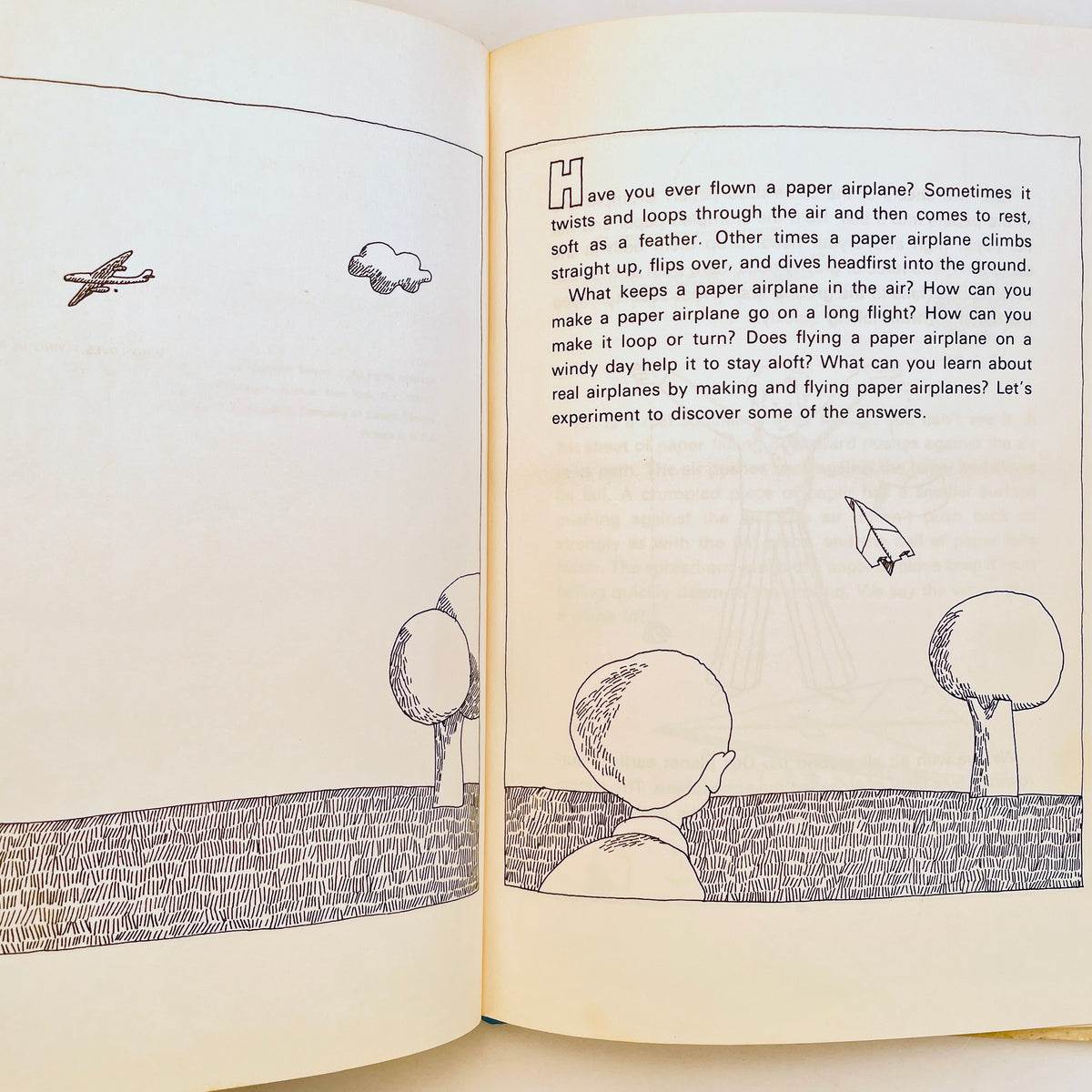 The Paper Airplane Book