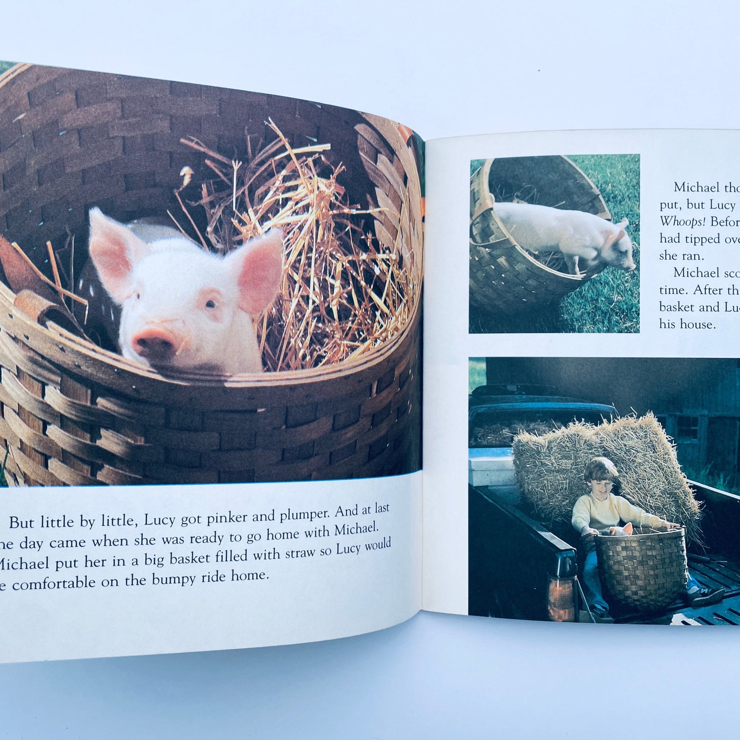 The Little Pig