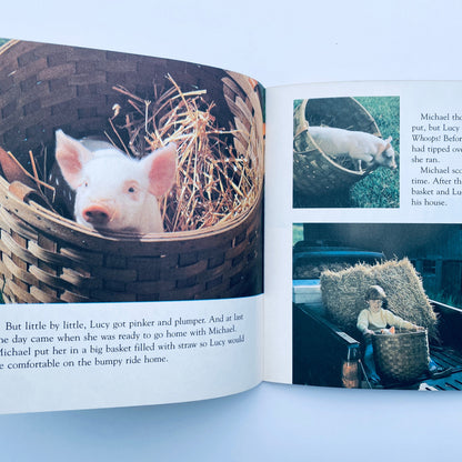 The Little Pig