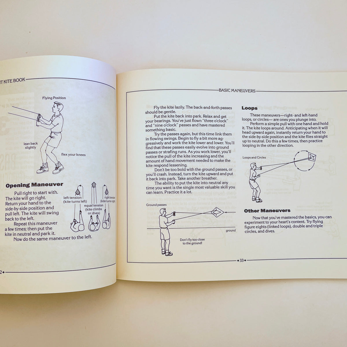 The Stunt Kite Book