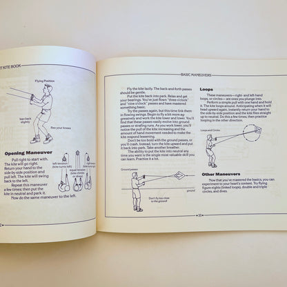 The Stunt Kite Book