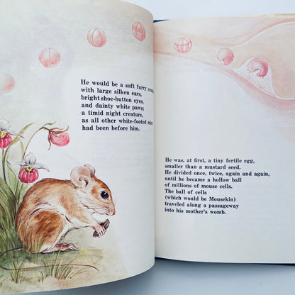 Mousekin's Woodland Birthday
