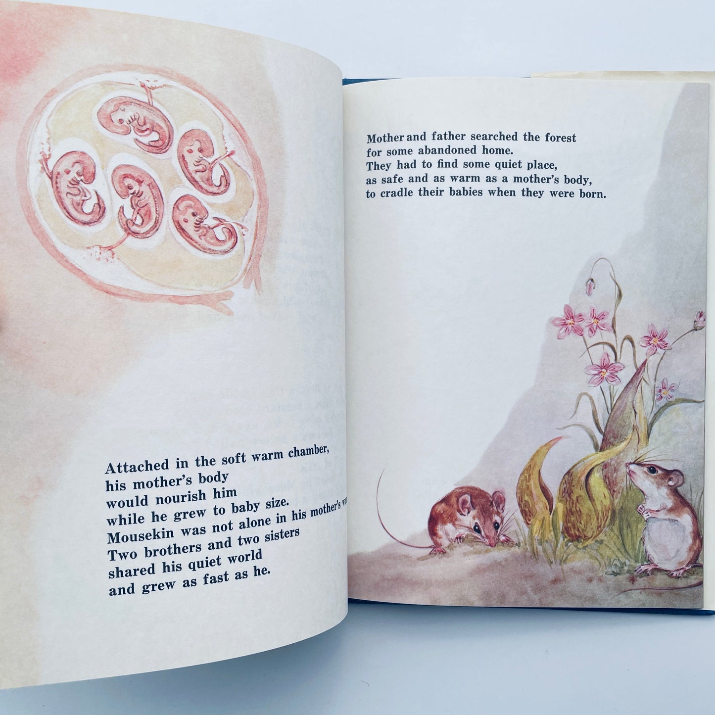 Mousekin's Woodland Birthday