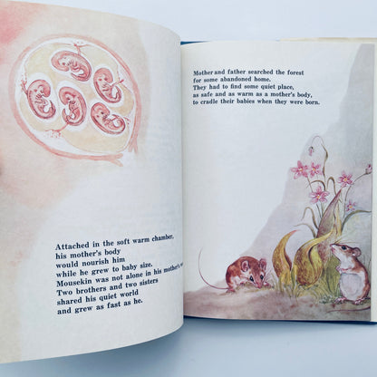 Mousekin's Woodland Birthday