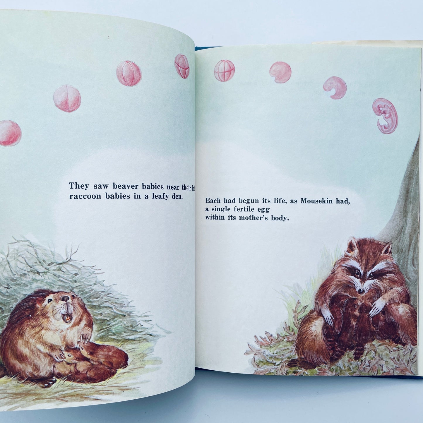 Mousekin's Woodland Birthday