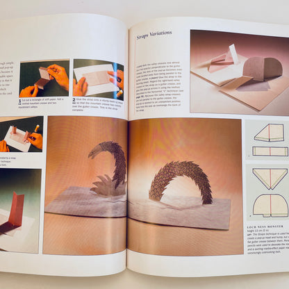 The Pop-Up Book