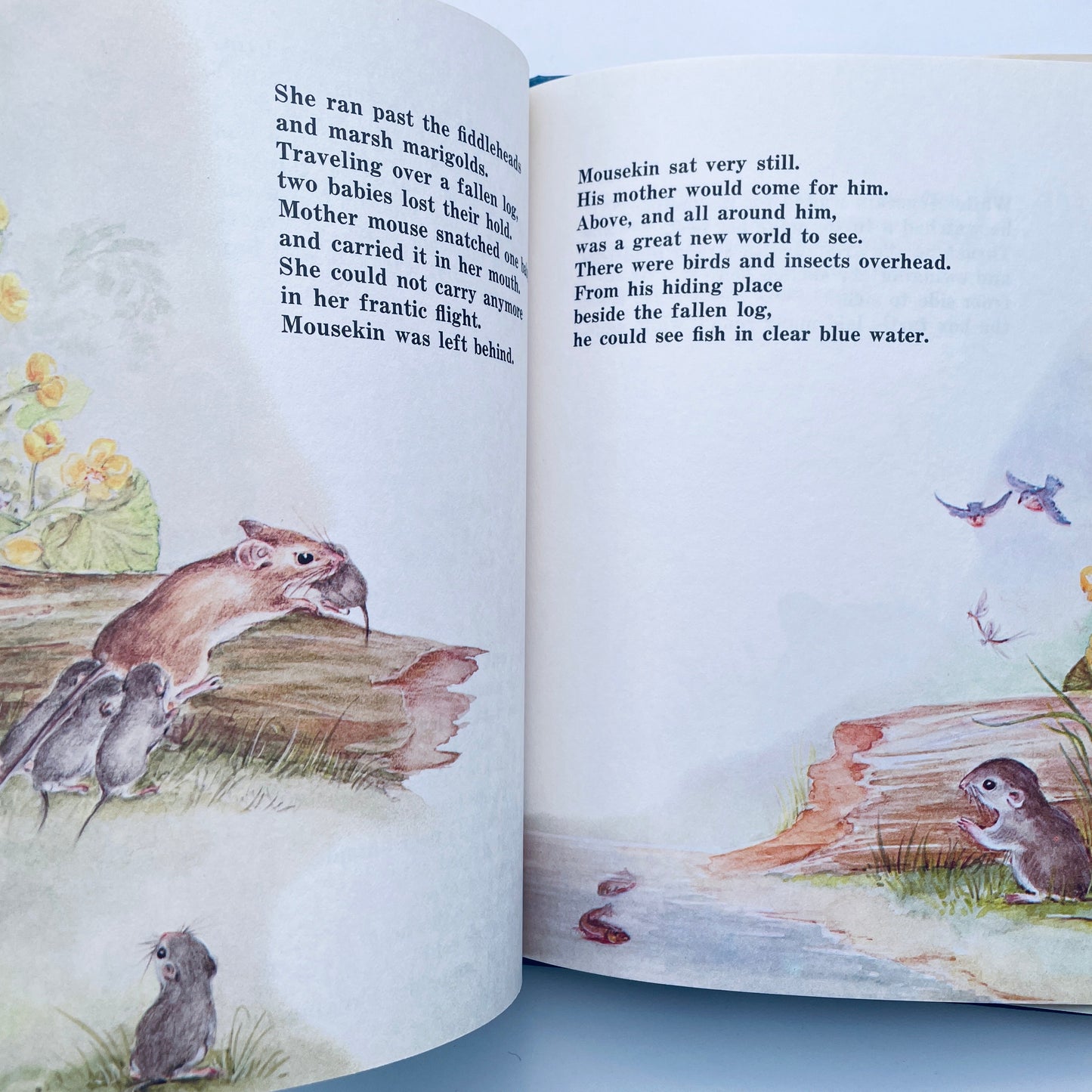 Mousekin's Woodland Birthday