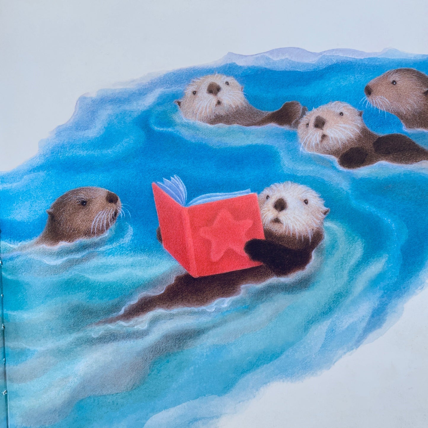 A Lot of Otters