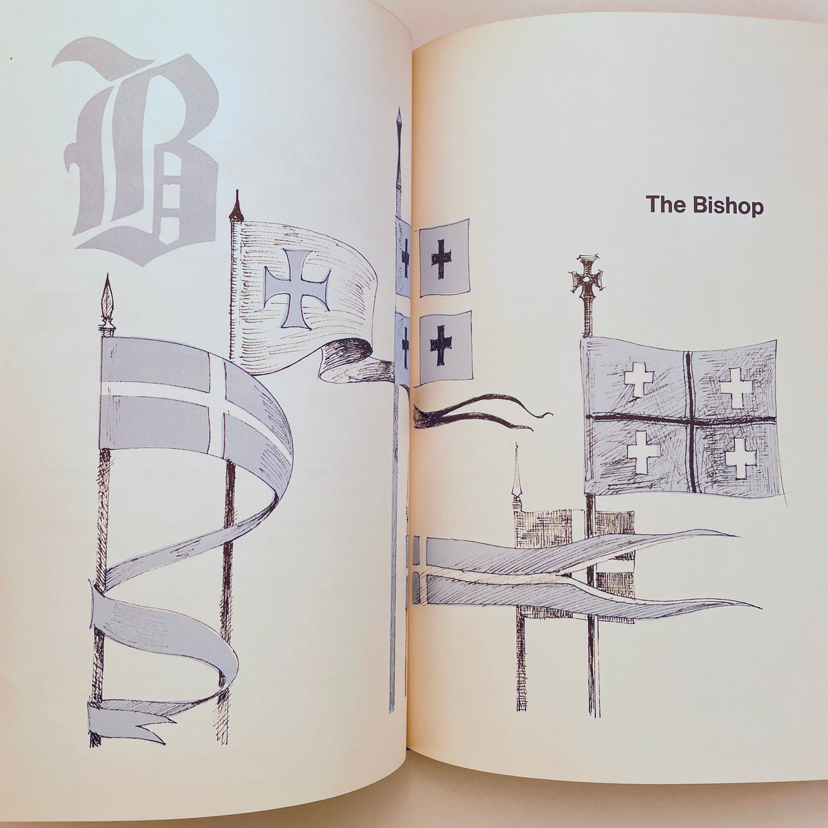Illustrated Chess for Children