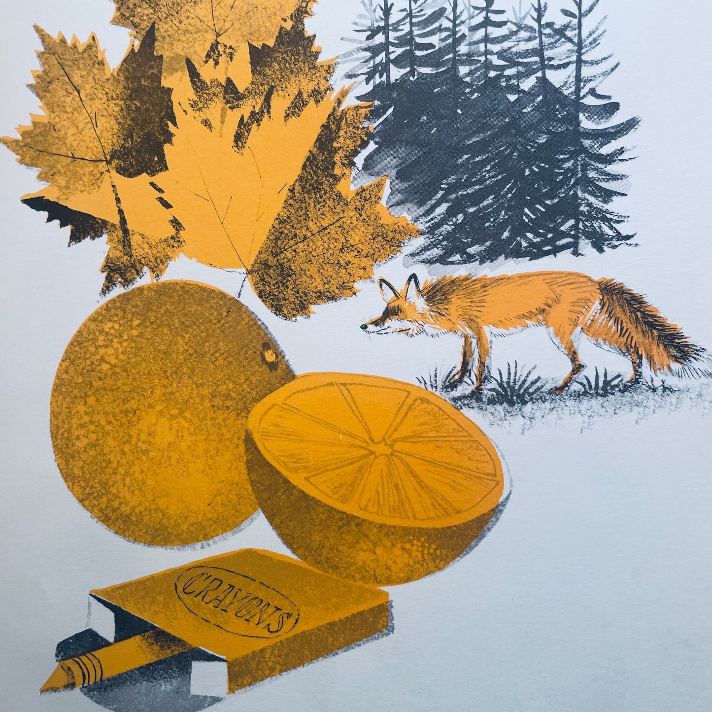 Hailstones and Halibut Bones: Adventures in Color