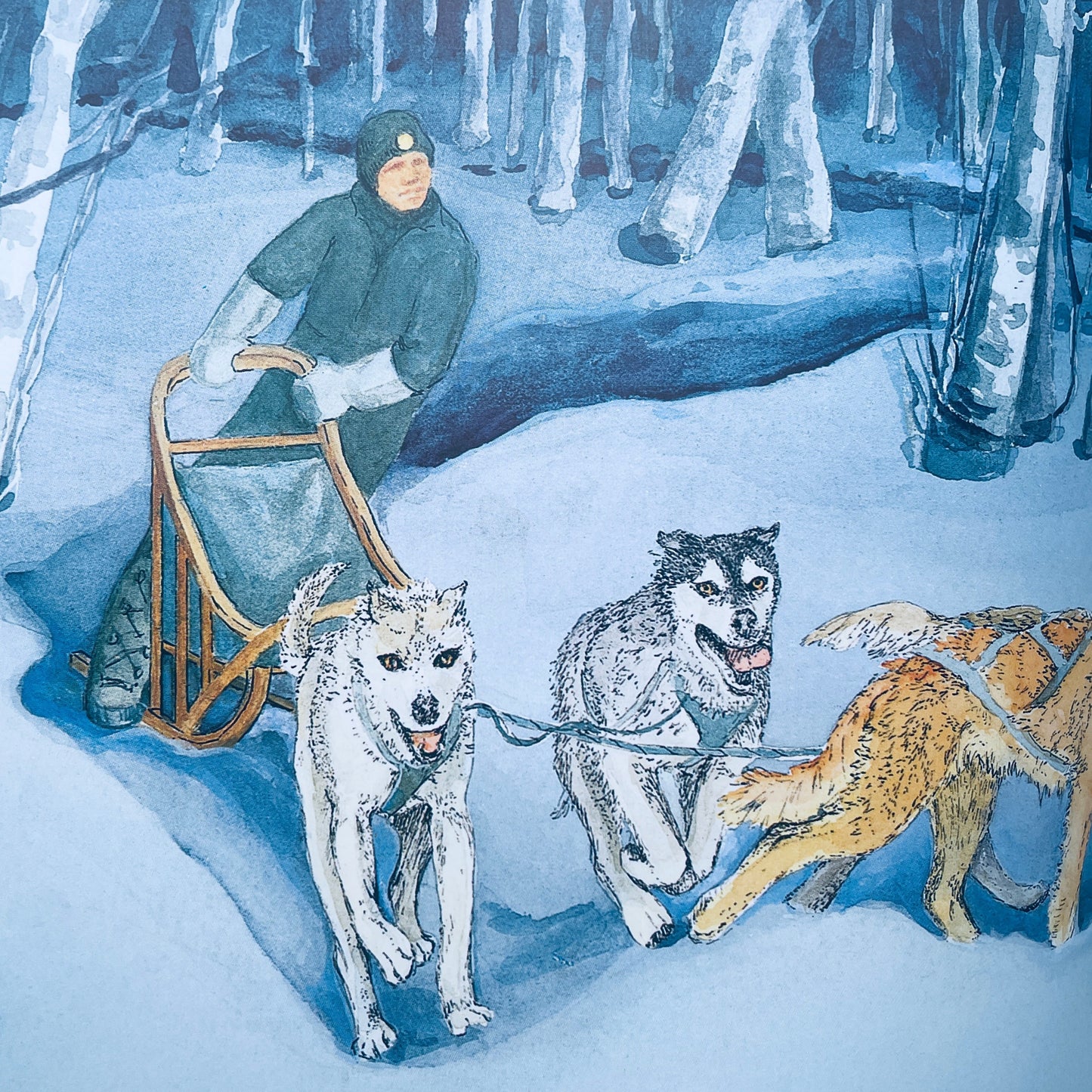 Dogteam