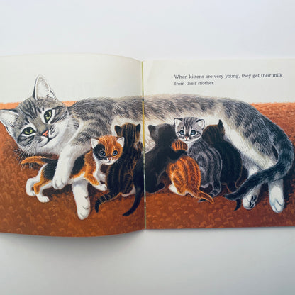 Kittens Are Like That