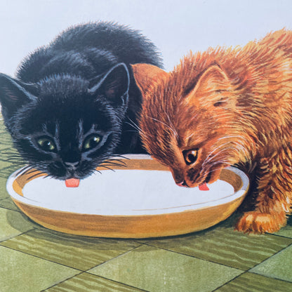 Kittens Are Like That