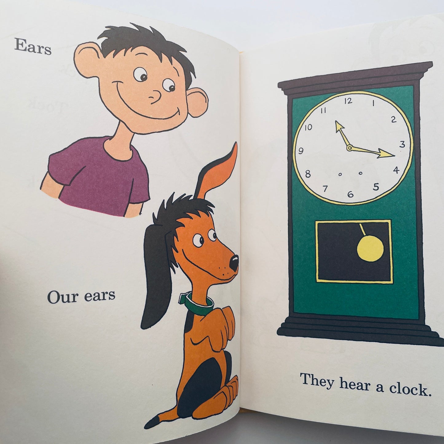 The Ear Book