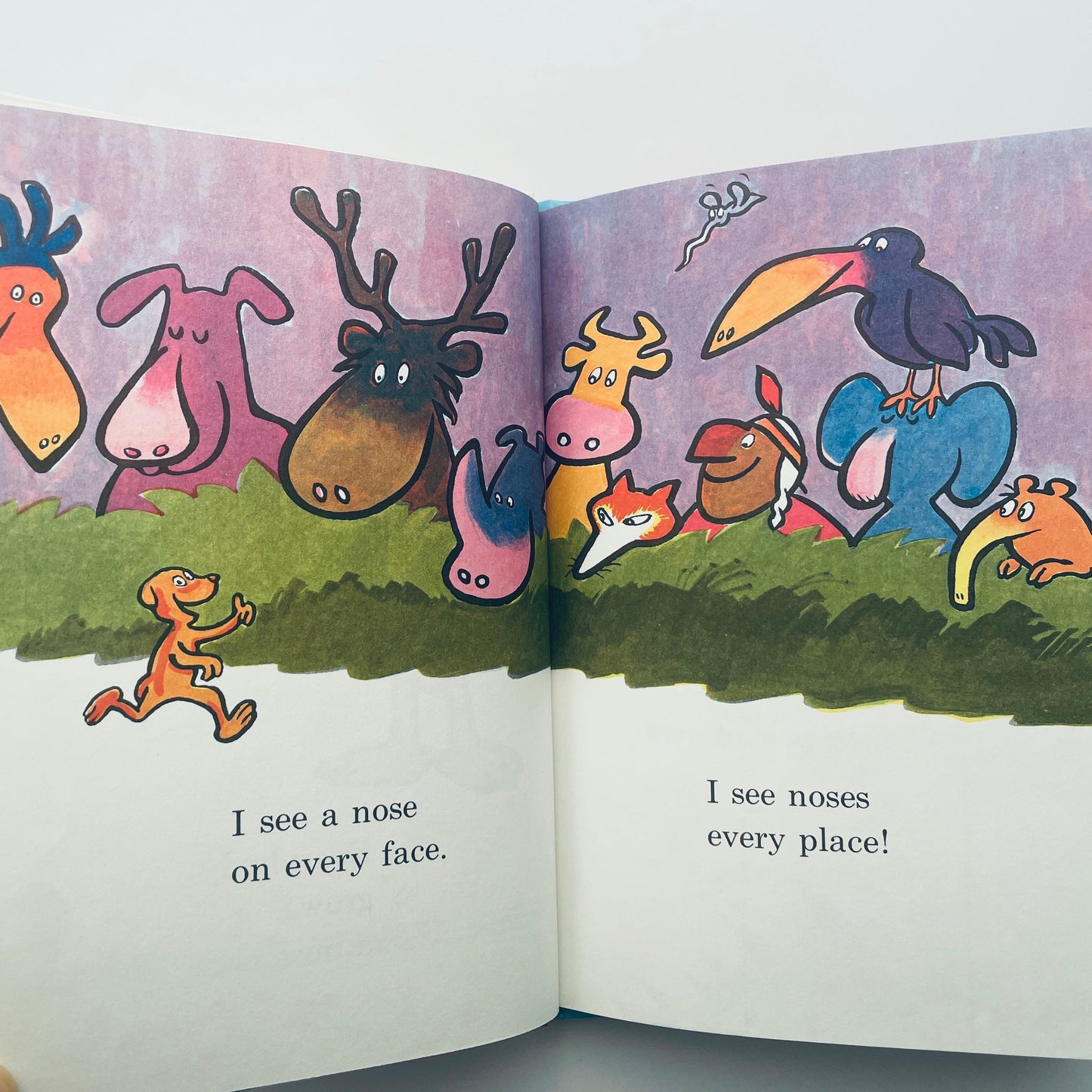 The Nose Book