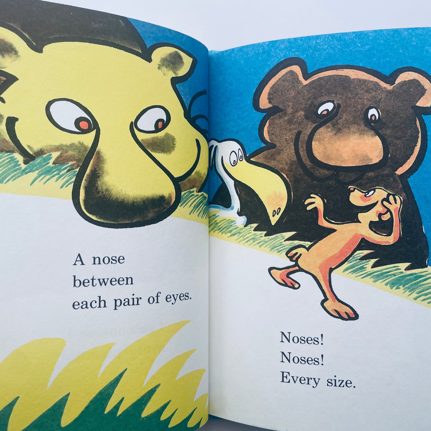The Nose Book