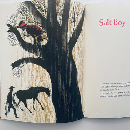 Salt Boy
