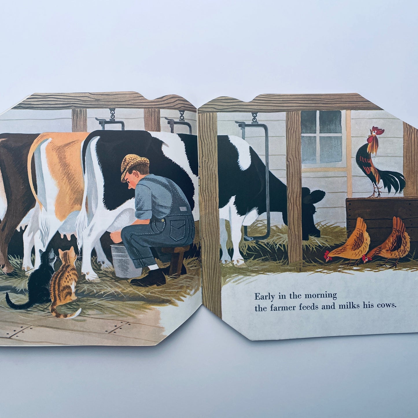 The Farm Book