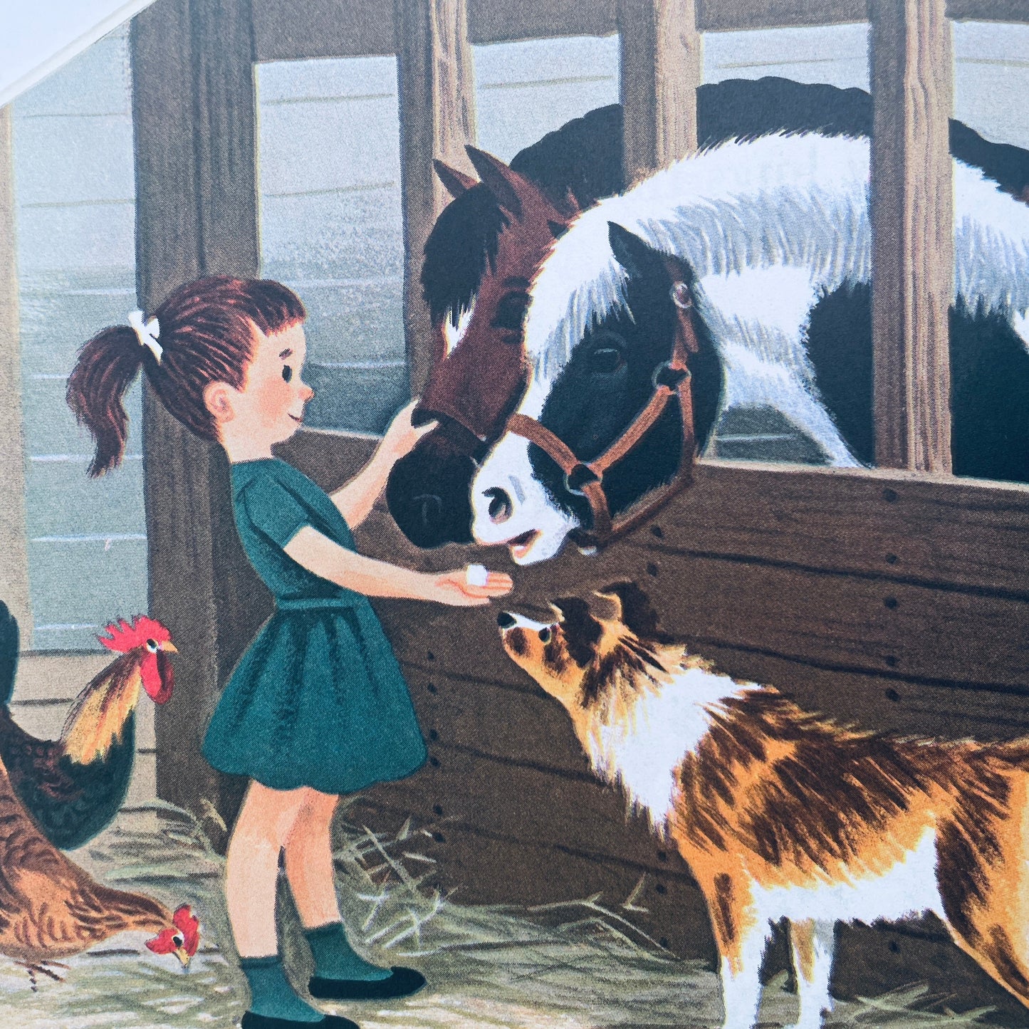 The Farm Book