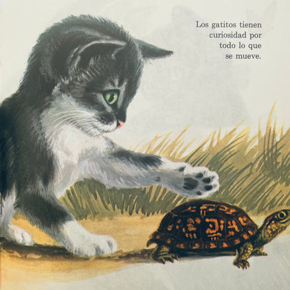 Los Gatitos (Kittens Are Like That–Spanish)