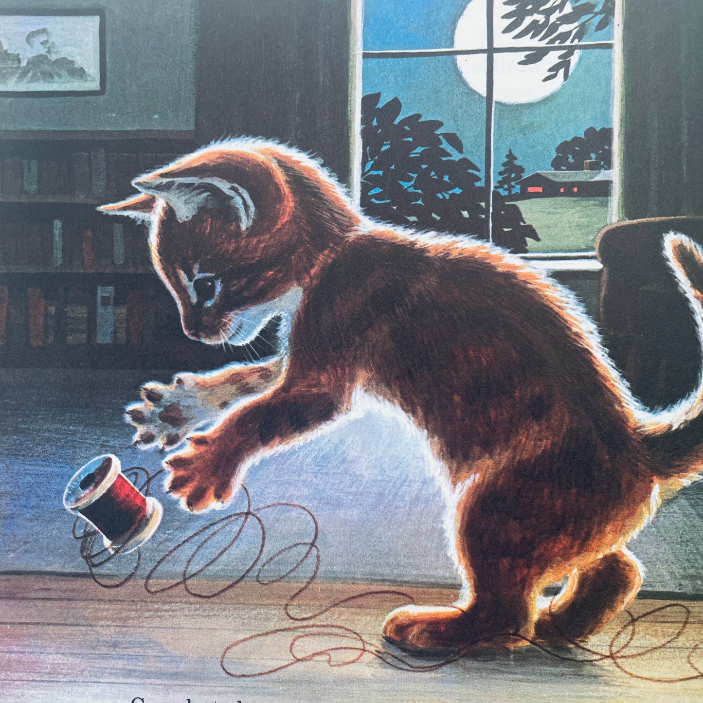Los Gatitos (Kittens Are Like That–Spanish)