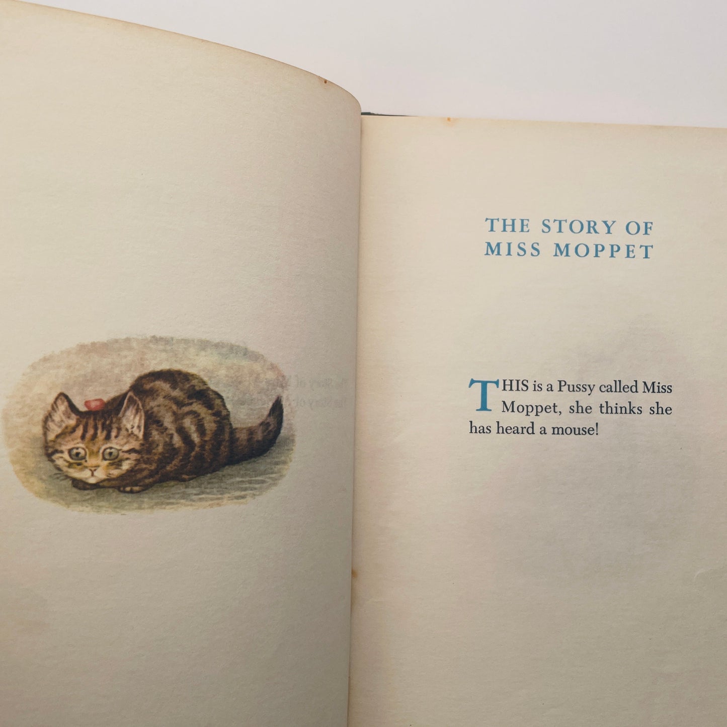 The Story of Miss Moppet and a Fierce Bad Rabbit
