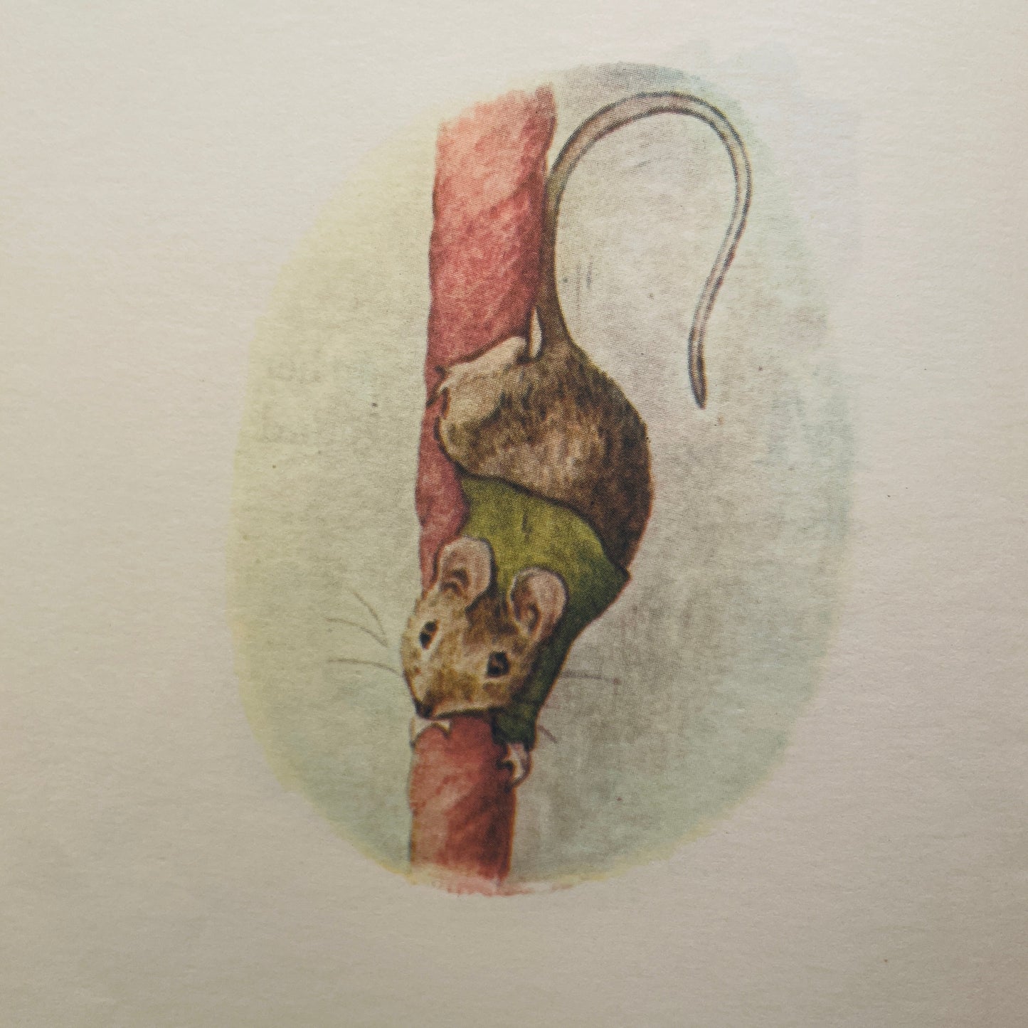 The Story of Miss Moppet and a Fierce Bad Rabbit