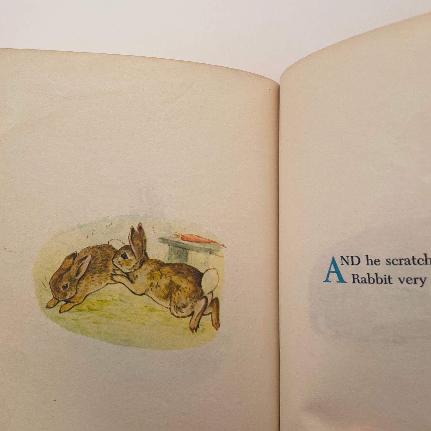 The Story of Miss Moppet and a Fierce Bad Rabbit