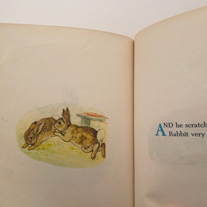 The Story of Miss Moppet and a Fierce Bad Rabbit