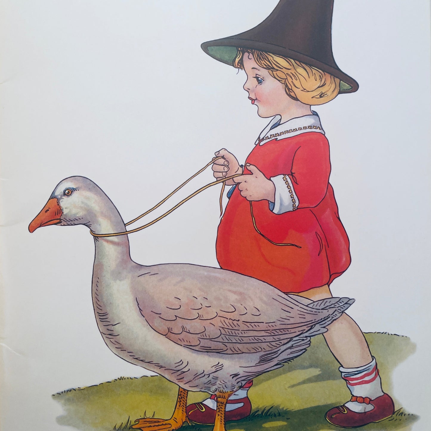 Mother Goose: Book Of Rhymes