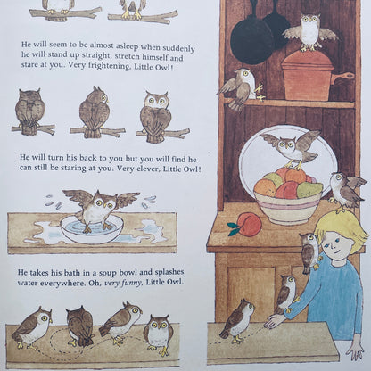 An Owl And Three Pussycats