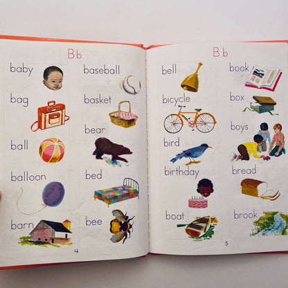 My Picture Dictionary