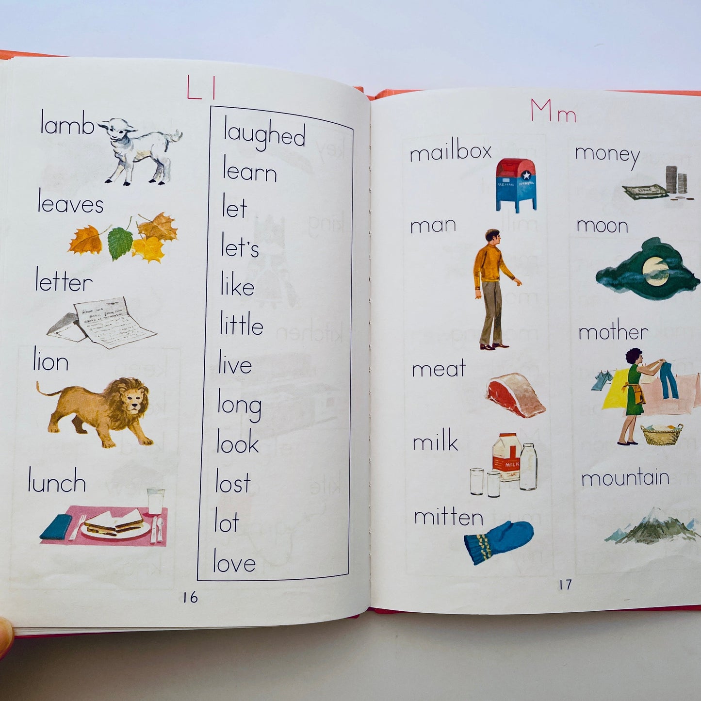 My Picture Dictionary